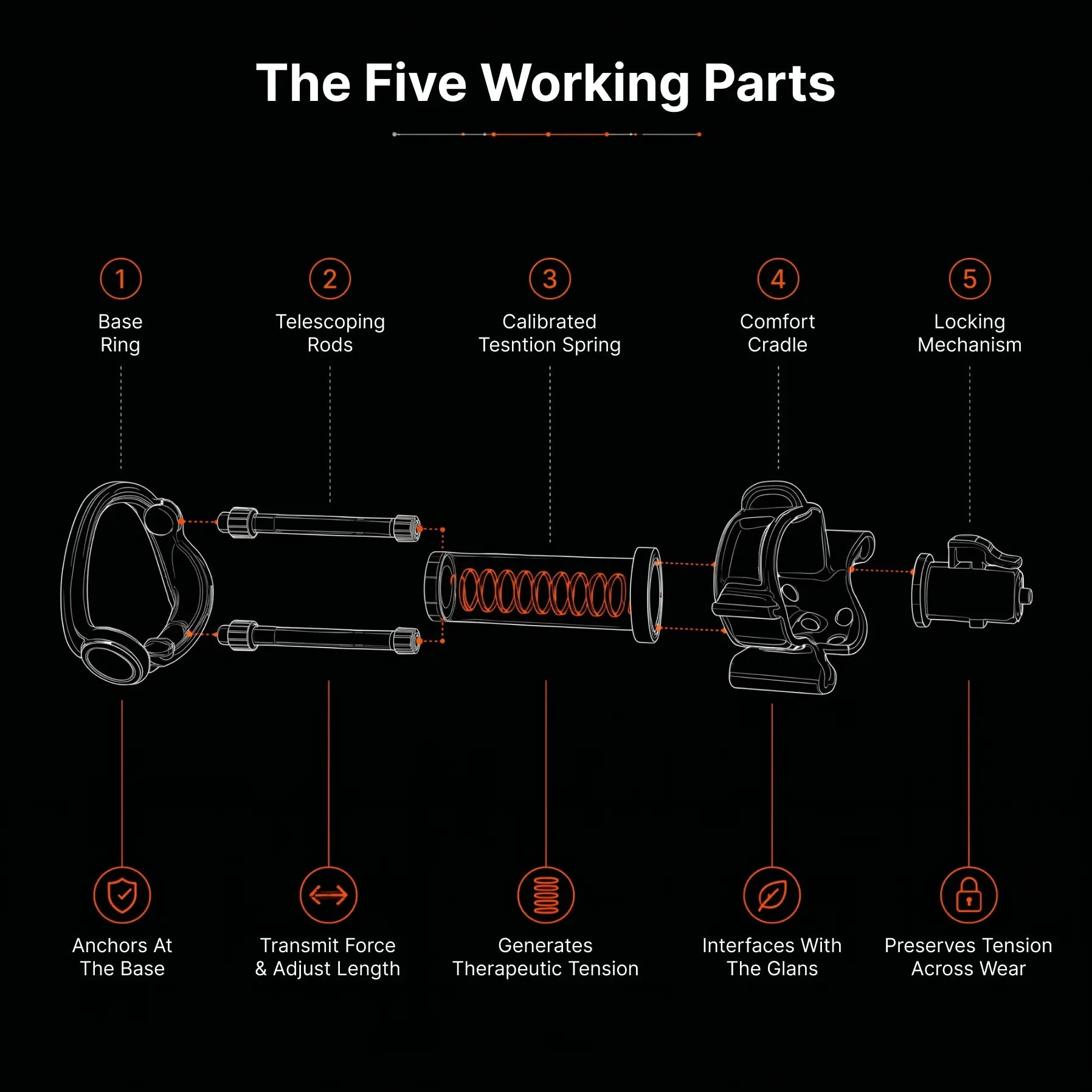 How a Penile Traction Device Works (Engineering Explained)