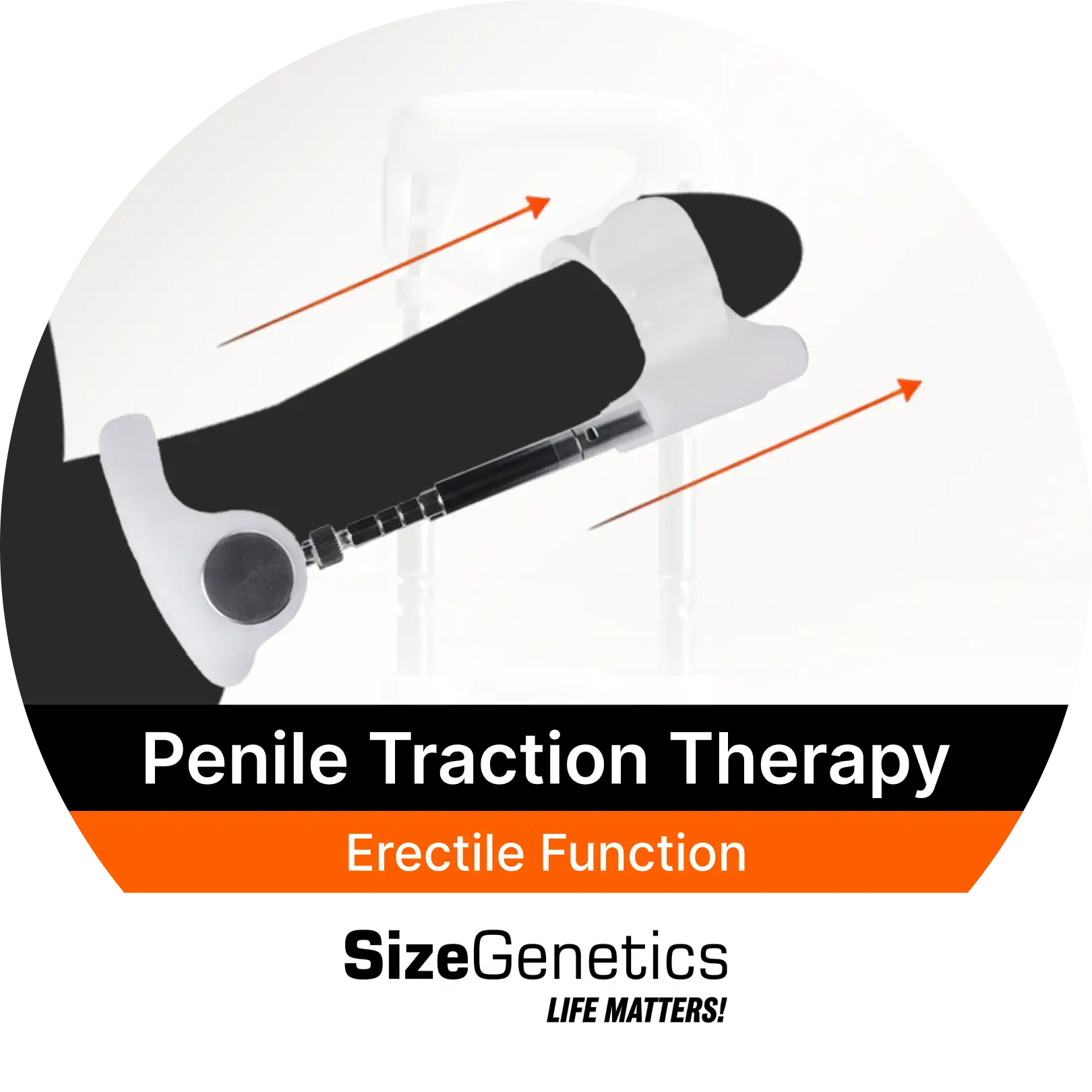 Penile Traction & Erectile Function