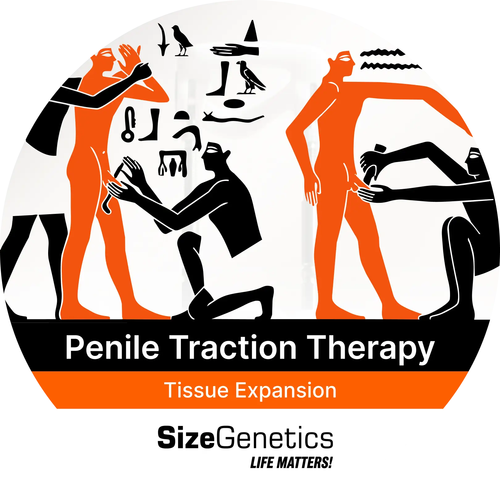 History of Penile Traction Therapy: From Ancient Methods to Medical Devices