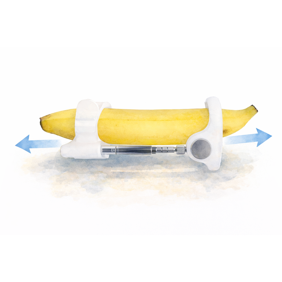 How Penile Traction Therapy Works (Mechanotransduction) | SizeGenetics