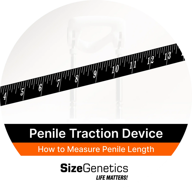 How to Measure Penile Length: Clinical Bone-Pressed Method | SizeGenetics